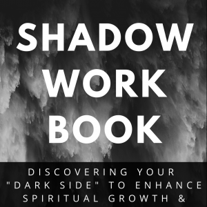 shadow workbook ebook